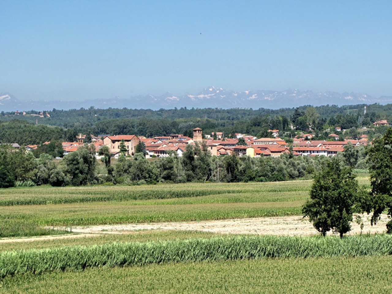 Paesaggio di Cerro Tanaro (2)