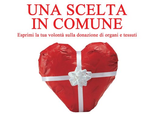 Progetto "Una scelta in Comune"